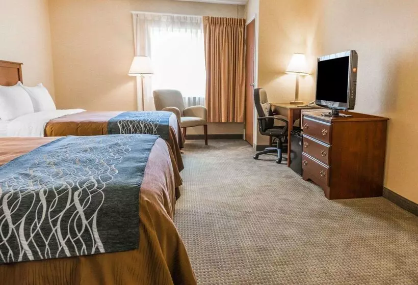 ホテル Rodeway Inn