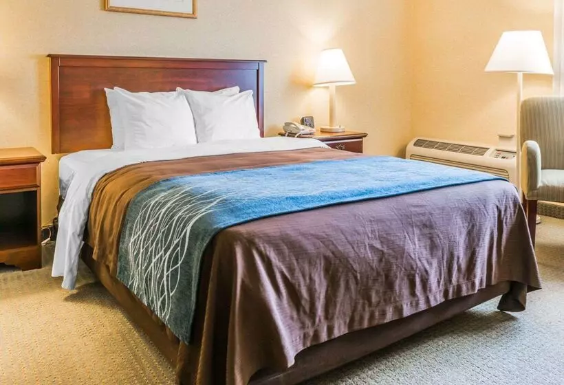 ホテル Rodeway Inn