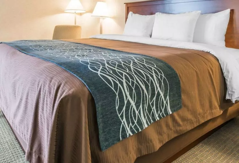 ホテル Rodeway Inn