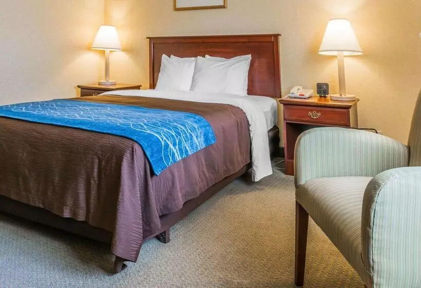 ホテル Rodeway Inn