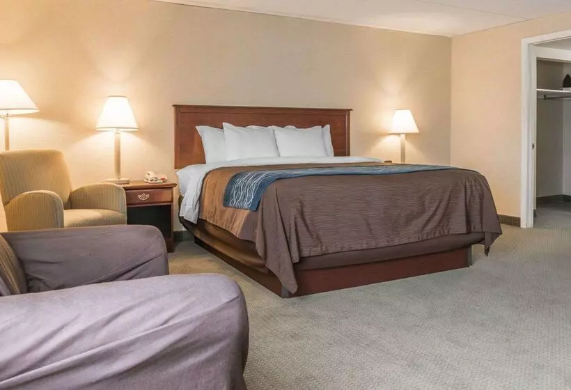 ホテル Rodeway Inn