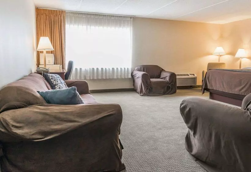 ホテル Rodeway Inn