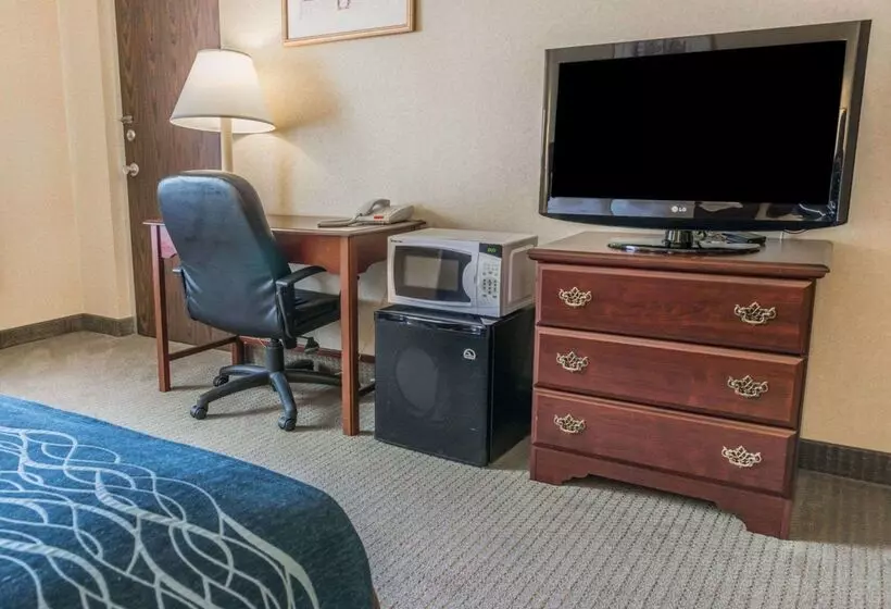 ホテル Rodeway Inn