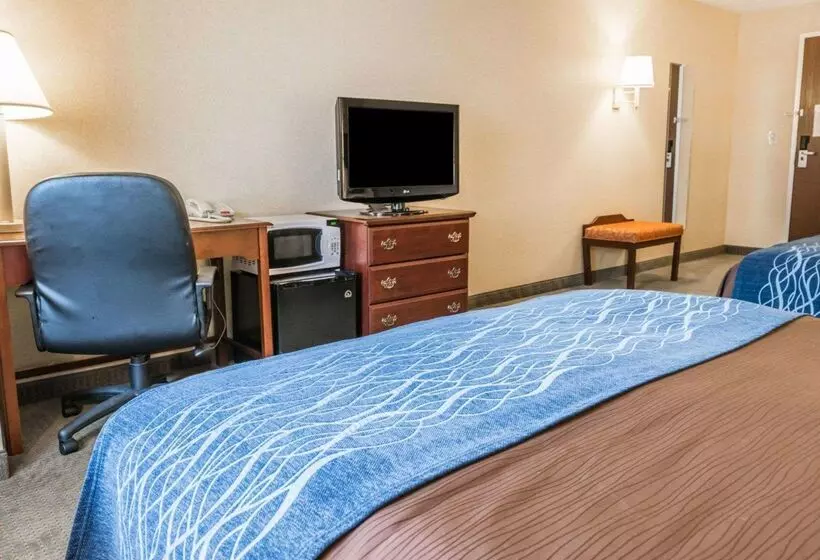 ホテル Rodeway Inn