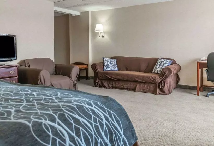 ホテル Rodeway Inn