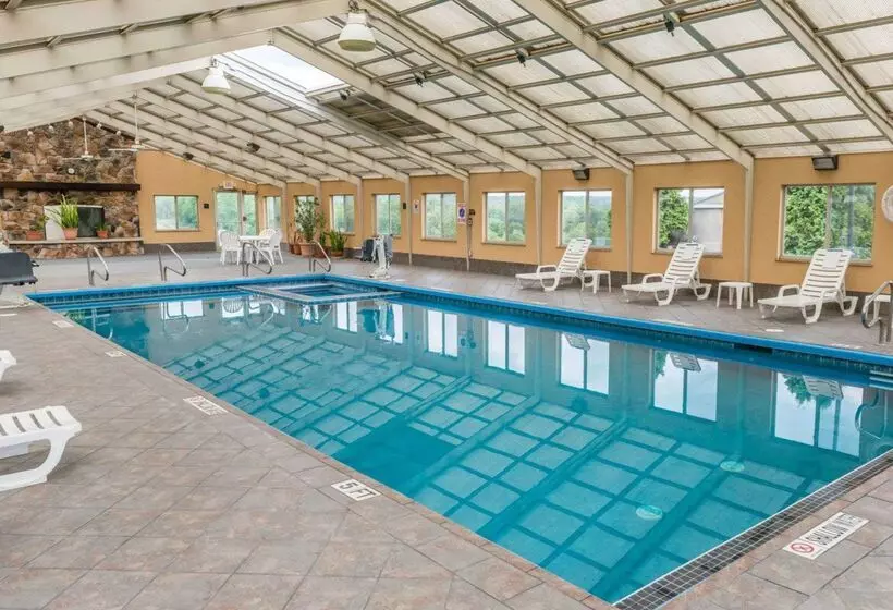 ホテル Rodeway Inn