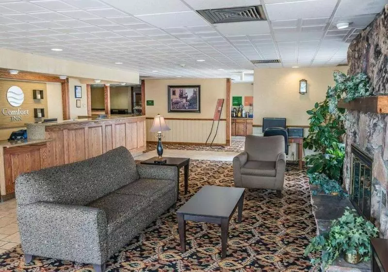 ホテル Rodeway Inn