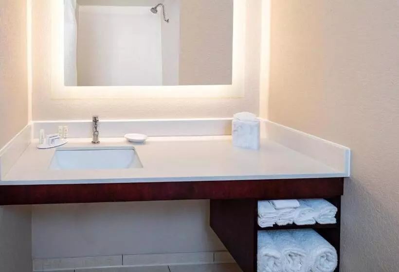 酒店 Springhill Suites Houston Medical Center / Nrg Park