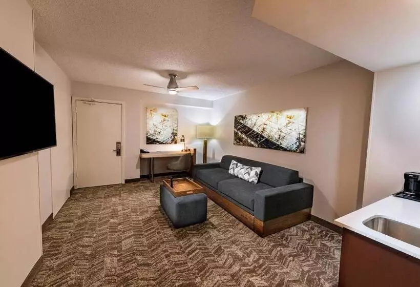 酒店 Springhill Suites Houston Medical Center / Nrg Park