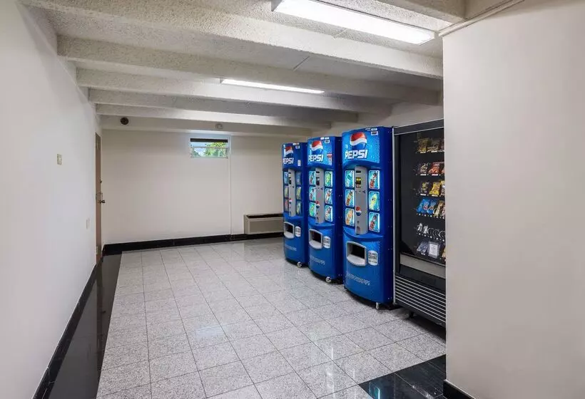 Отель Red Carpet Inn & Suites