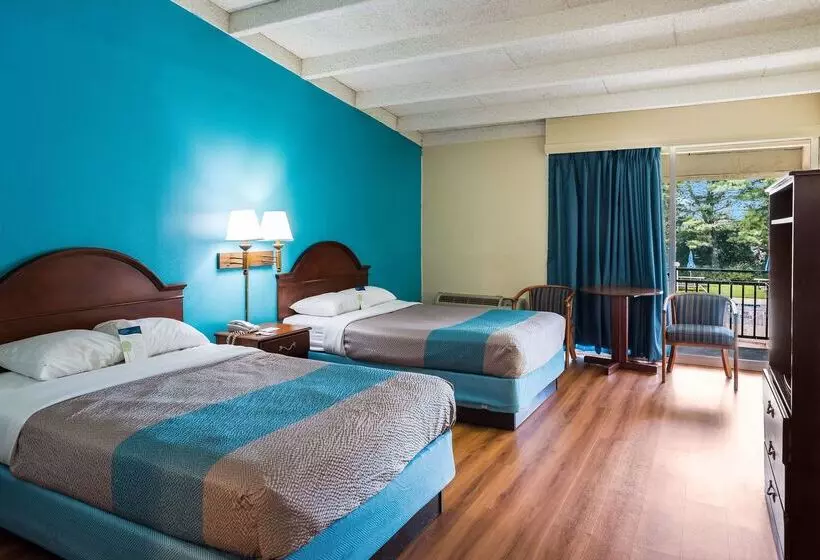 Отель Red Carpet Inn & Suites