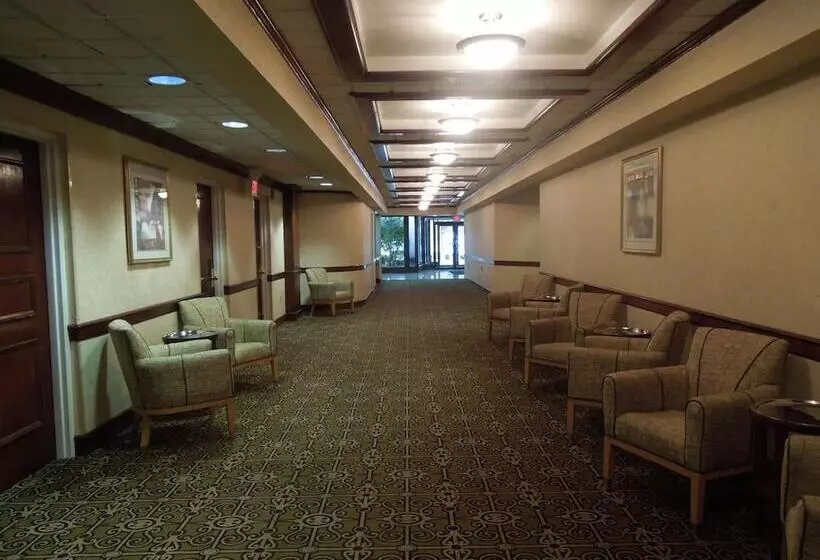 Отель Red Carpet Inn & Suites