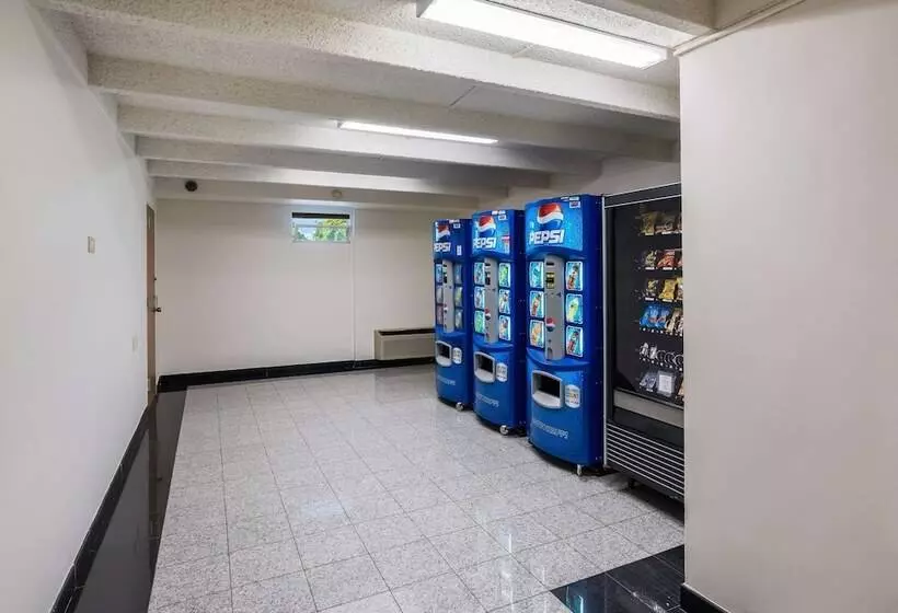 Отель Red Carpet Inn & Suites