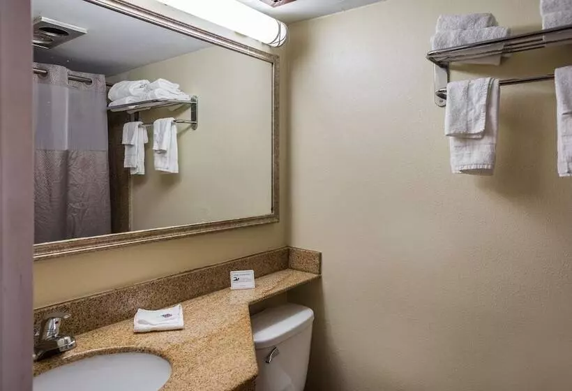 Отель Red Carpet Inn & Suites