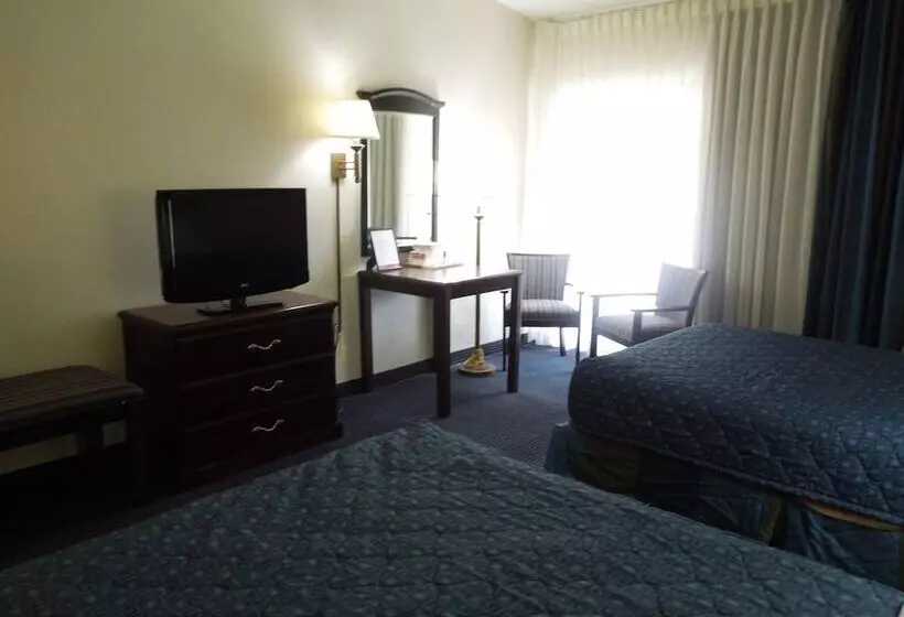 Отель Red Carpet Inn & Suites