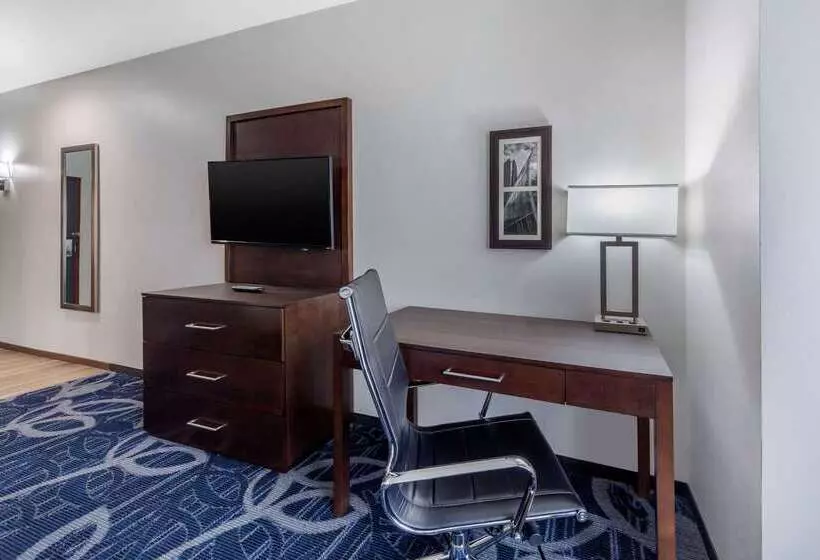 ホテル Comfort Inn & Suites Oklahoma City South I 35