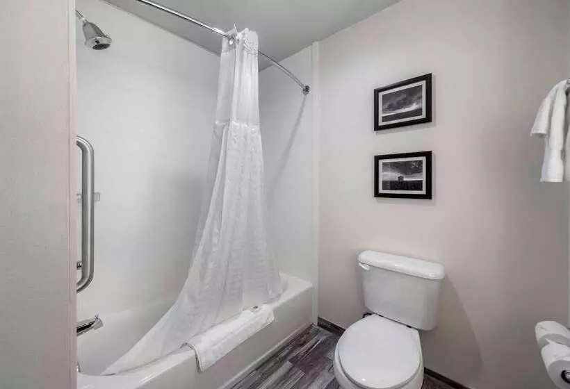 ホテル Comfort Inn & Suites Oklahoma City South I 35