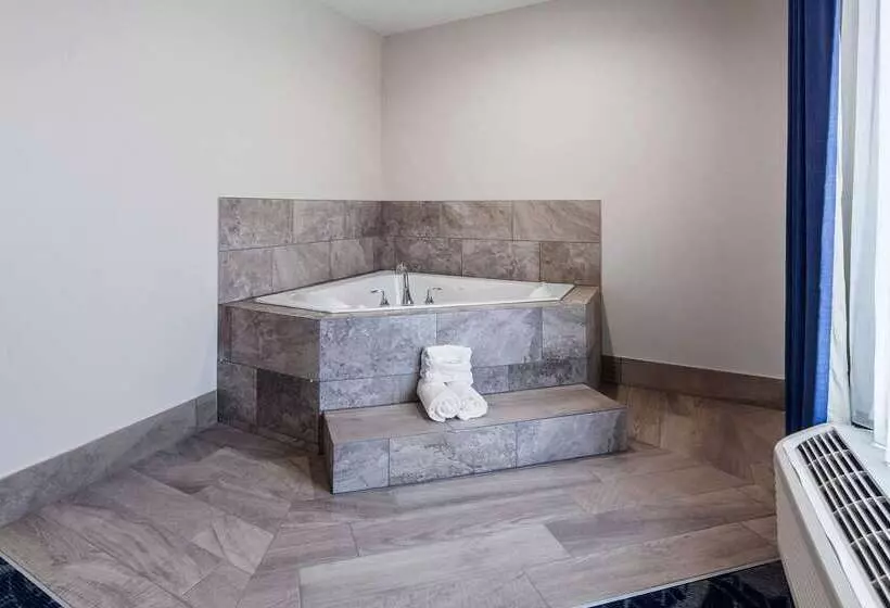 ホテル Comfort Inn & Suites Oklahoma City South I 35