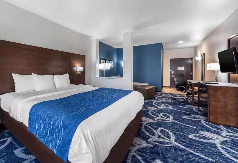 ホテル Comfort Inn & Suites Oklahoma City South I 35
