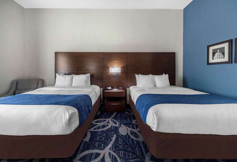 בית מלון כפרי Comfort Inn & Suites Oklahoma City South I 35