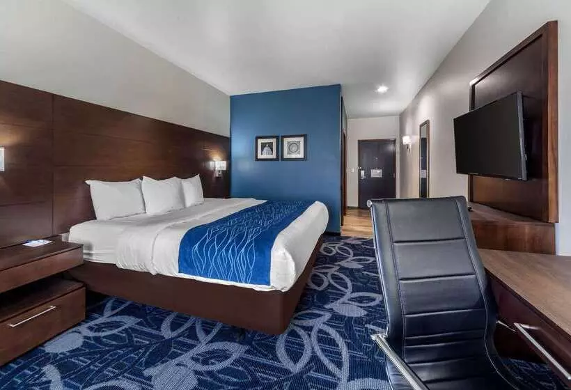 ホテル Comfort Inn & Suites Oklahoma City South I 35