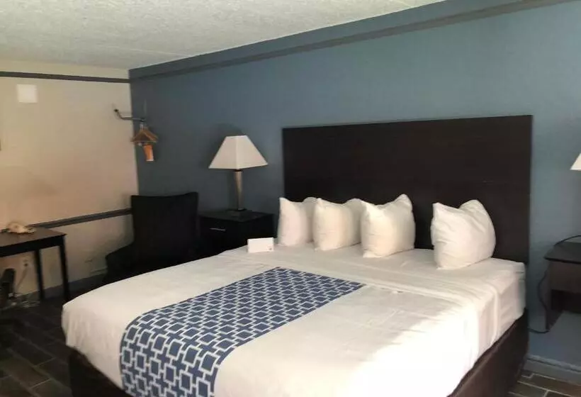 فندق Kings Inn  Medical Downtown Midtown Memphis