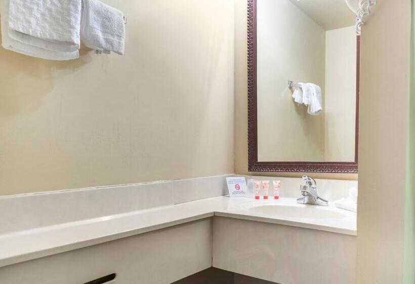 Otel Mansion View Inn & Suites