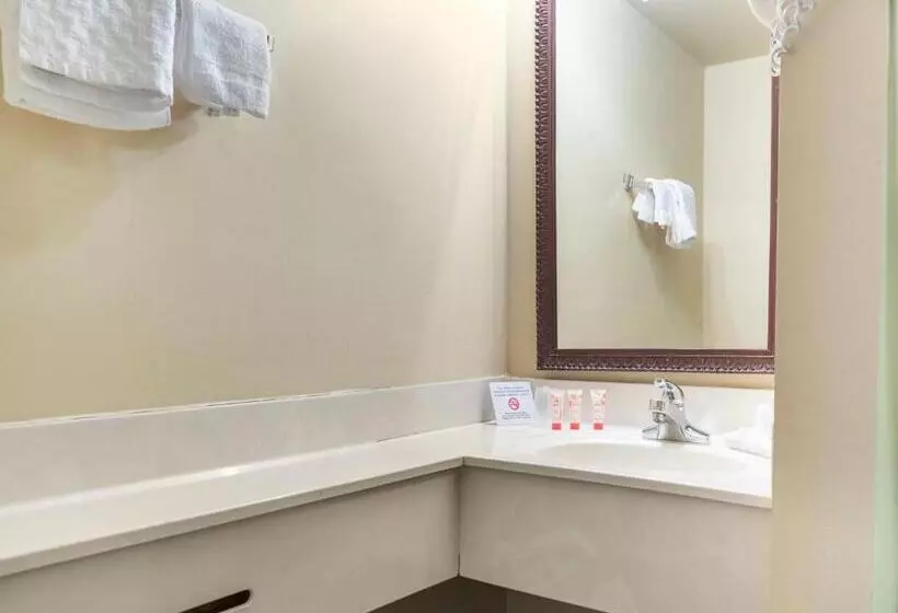 ホテル Mansion View Inn & Suites