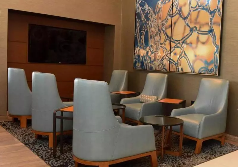 هتل Marriott Raleigh Durham Research Triangle Park