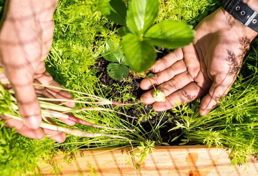 فندق The Mayflower Inn & Spa, Auberge Resorts Collection