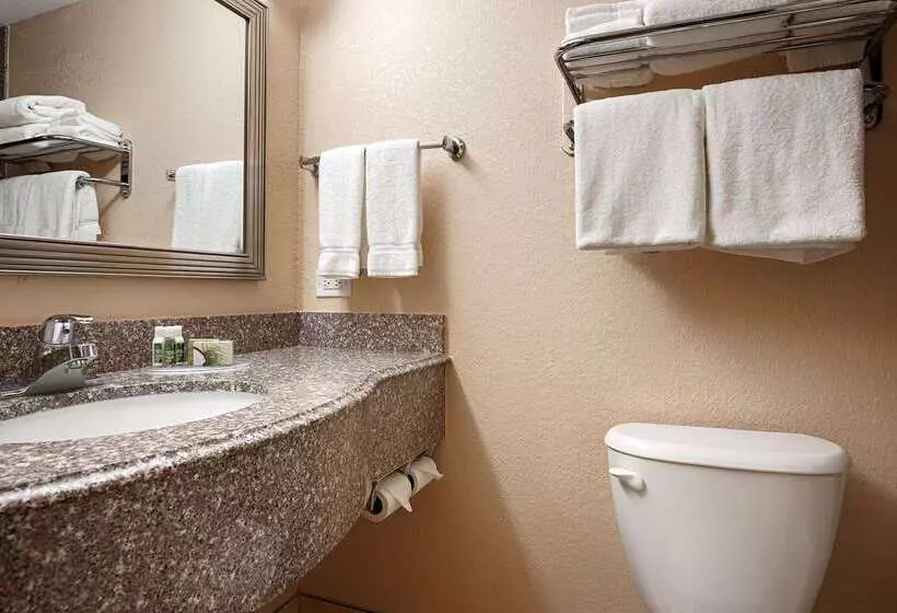 호텔 Best Western Plus Parkway