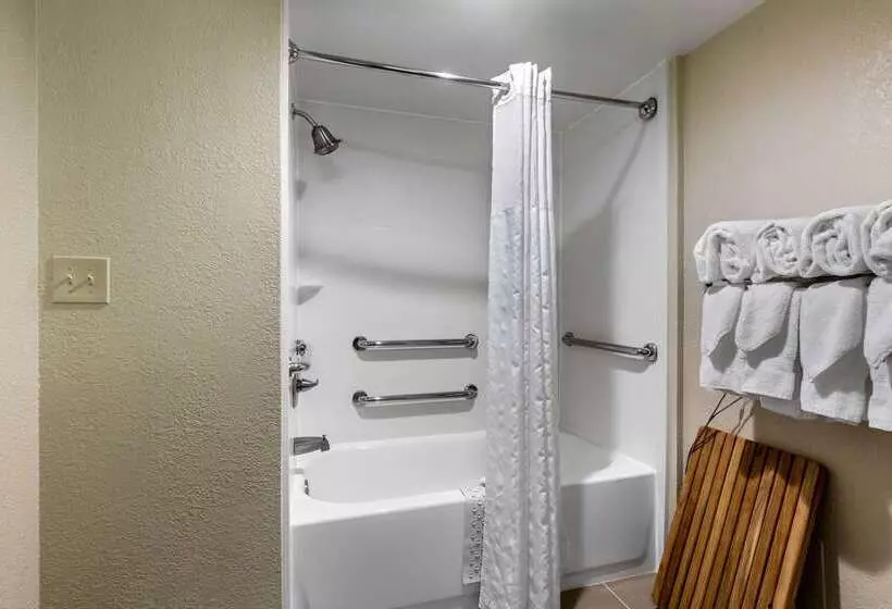 ホテル Comfort Inn Conference Center