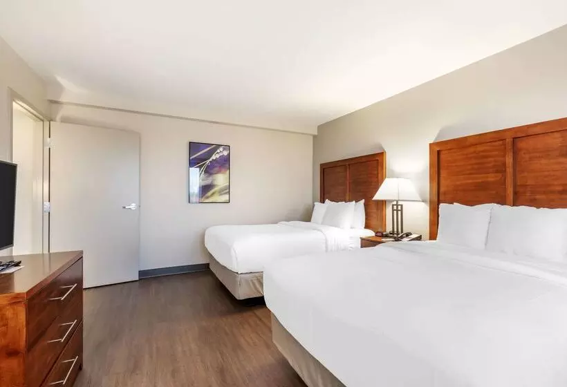 ホテル Comfort Inn Conference Center