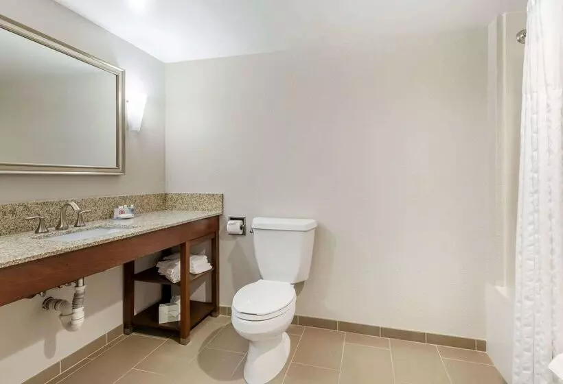 ホテル Comfort Inn Conference Center