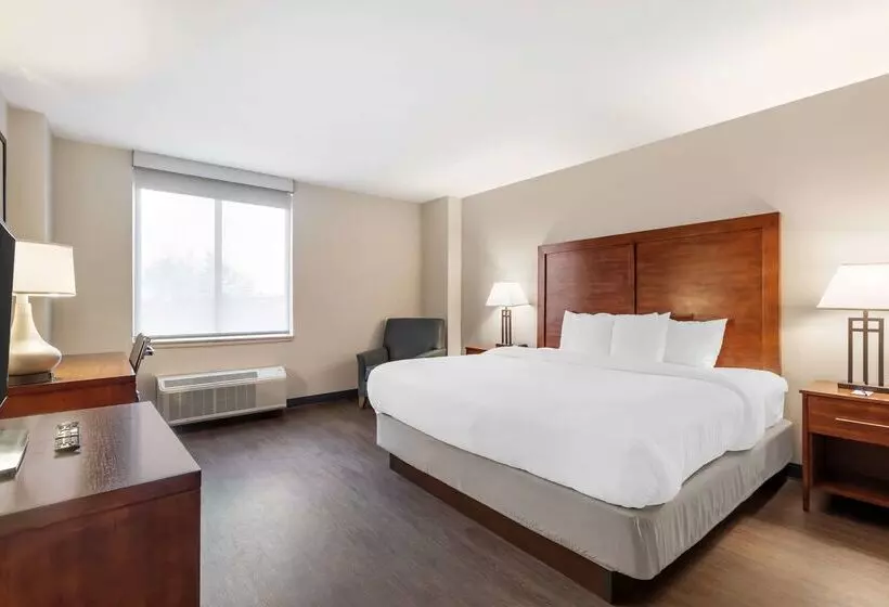 ホテル Comfort Inn Conference Center