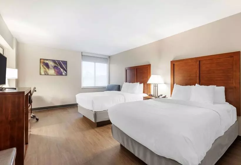 ホテル Comfort Inn Conference Center