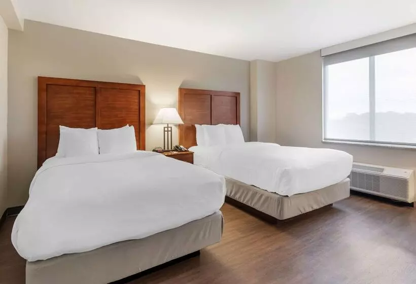 ホテル Comfort Inn Conference Center