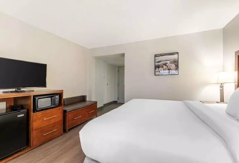 ホテル Comfort Inn Conference Center