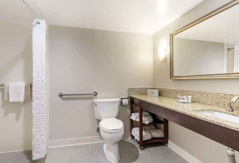 فندق Comfort Inn Conference Center