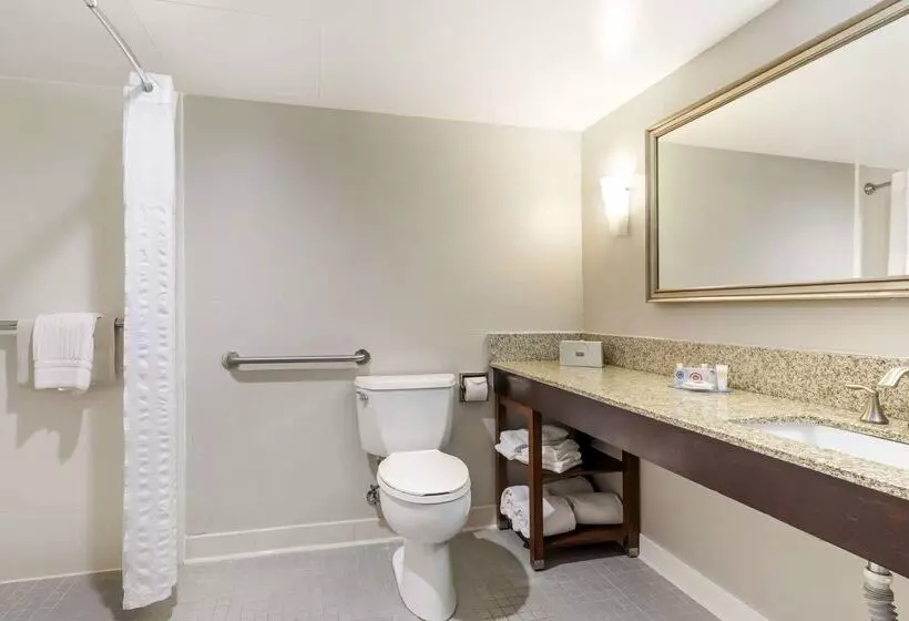 ホテル Comfort Inn Conference Center