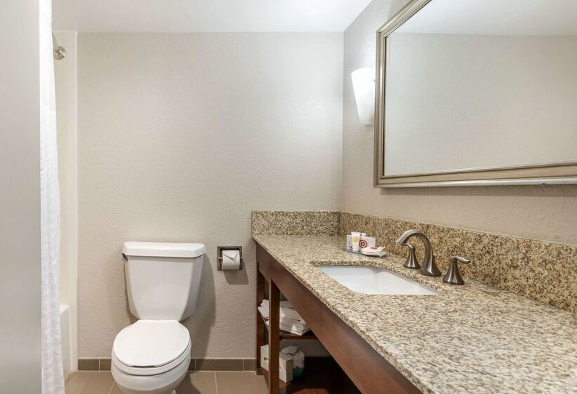 فندق Comfort Inn Conference Center