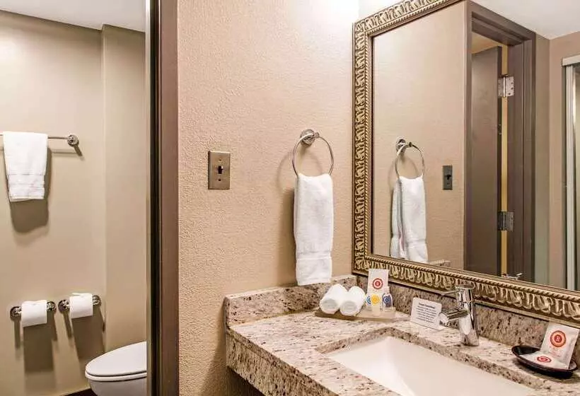 Отель Comfort Inn Largowashington Dc East