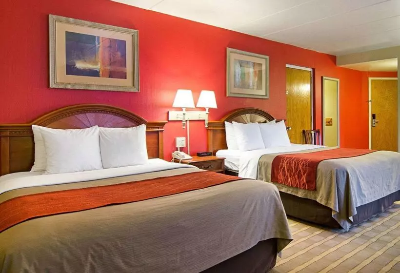 ホテル Comfort Inn University Center