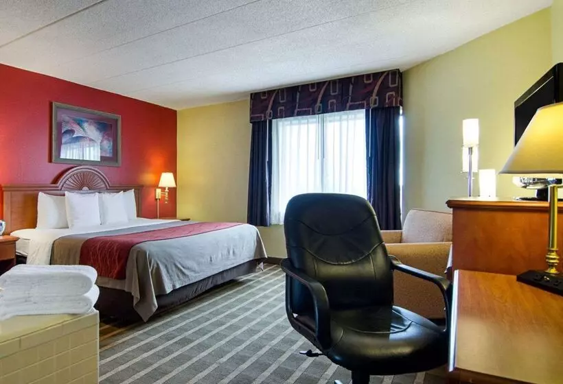 ホテル Comfort Inn University Center