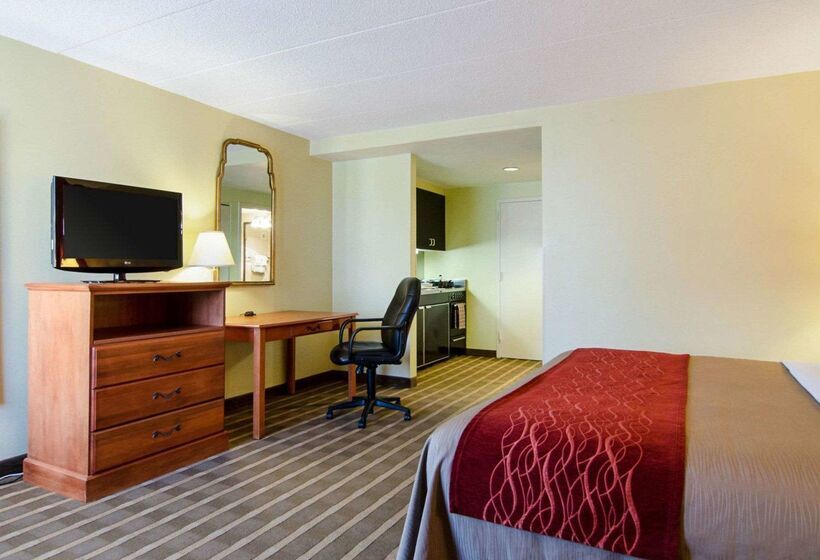 בית מלון כפרי Comfort Inn University Center