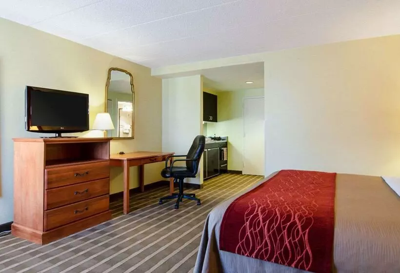 ホテル Comfort Inn University Center