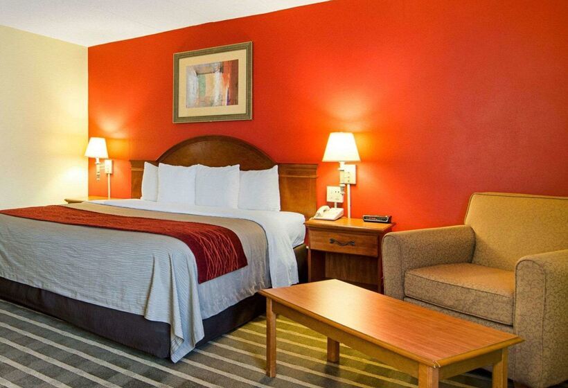 בית מלון כפרי Comfort Inn University Center