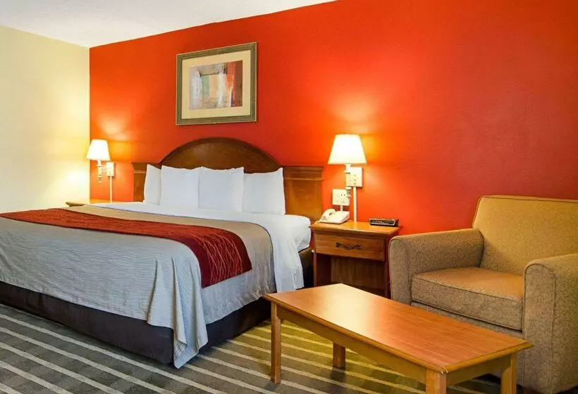 ホテル Comfort Inn University Center