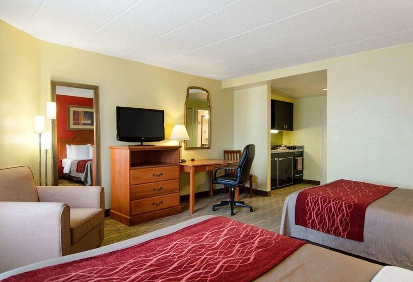 בית מלון כפרי Comfort Inn University Center