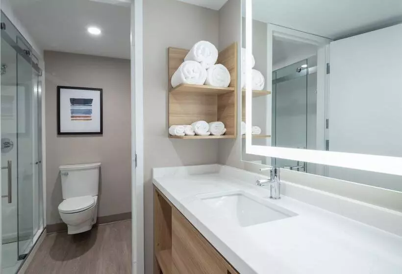 فندق Staybridge Suites Chicago O Hare   Rosemont, An Ihg